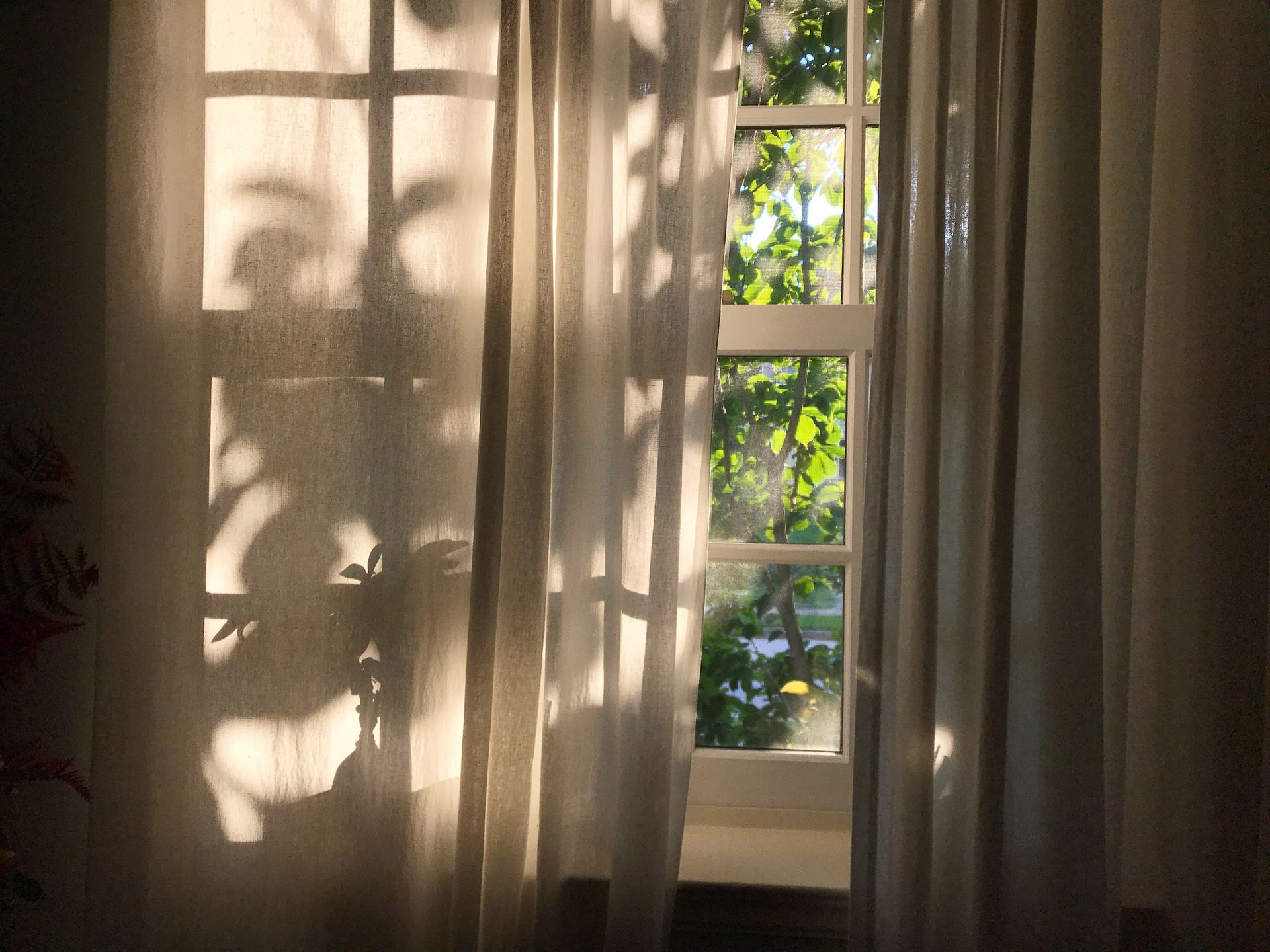 Two Colored Drapes — Katy, TX — Woven Plank